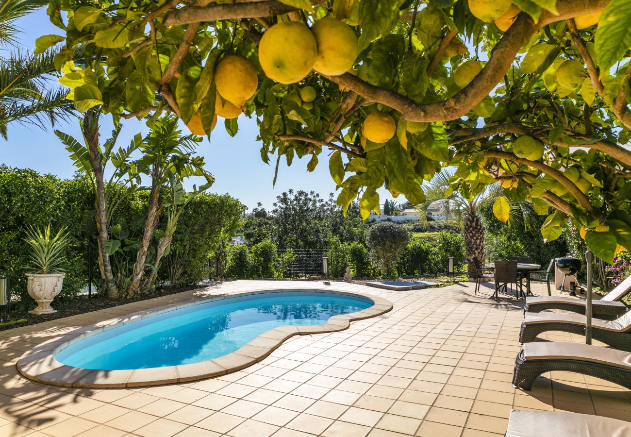 Rijhuis in Carvoeiro - The Palm House - Townhouse at Vale de Milho golf