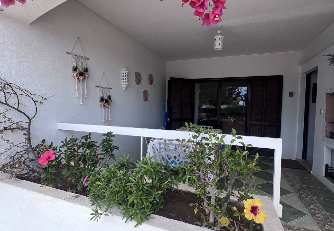 Appartement in Carvoeiro - Vila Nova Apartments