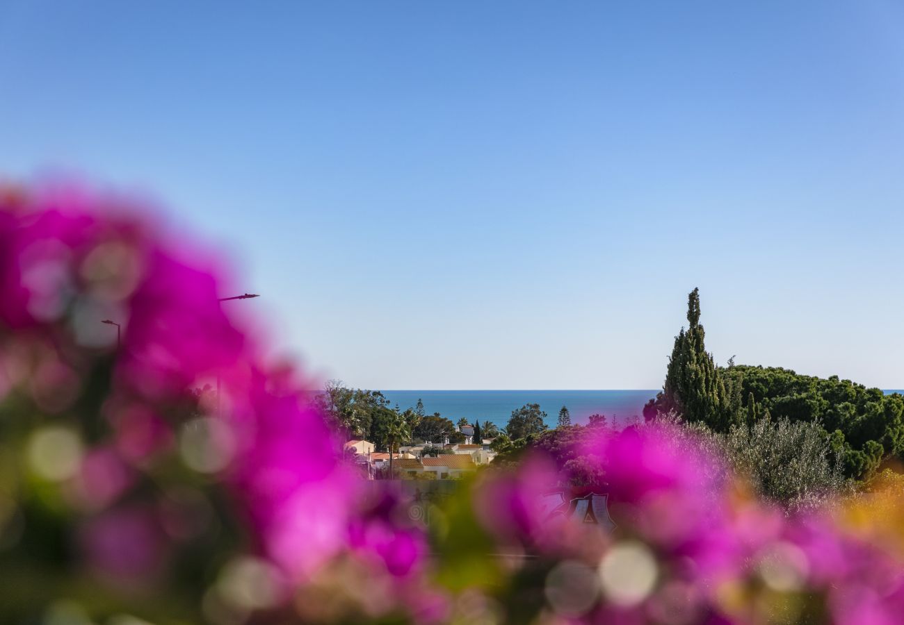 Villa in Porches - Vila Alporchinhos - Large villa close to the beach