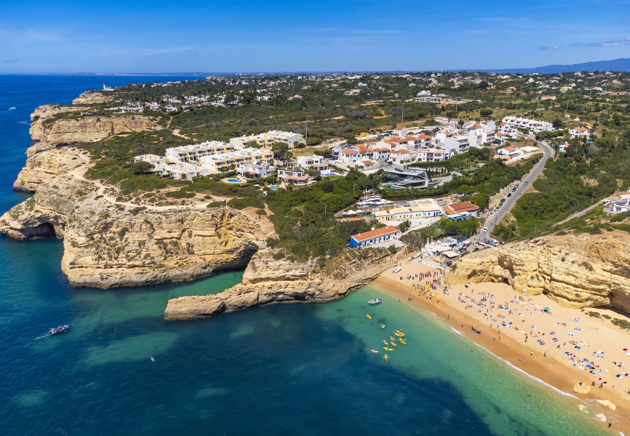 Birdeye beach and ocean Benagil