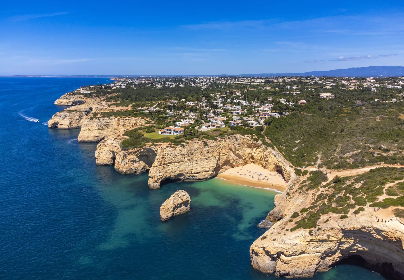 Birdeye Carvalho beach and ocean