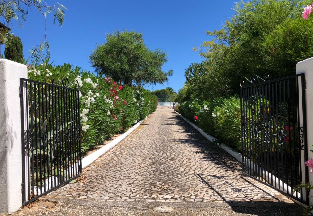 Villa in Carvoeiro - Villa Video