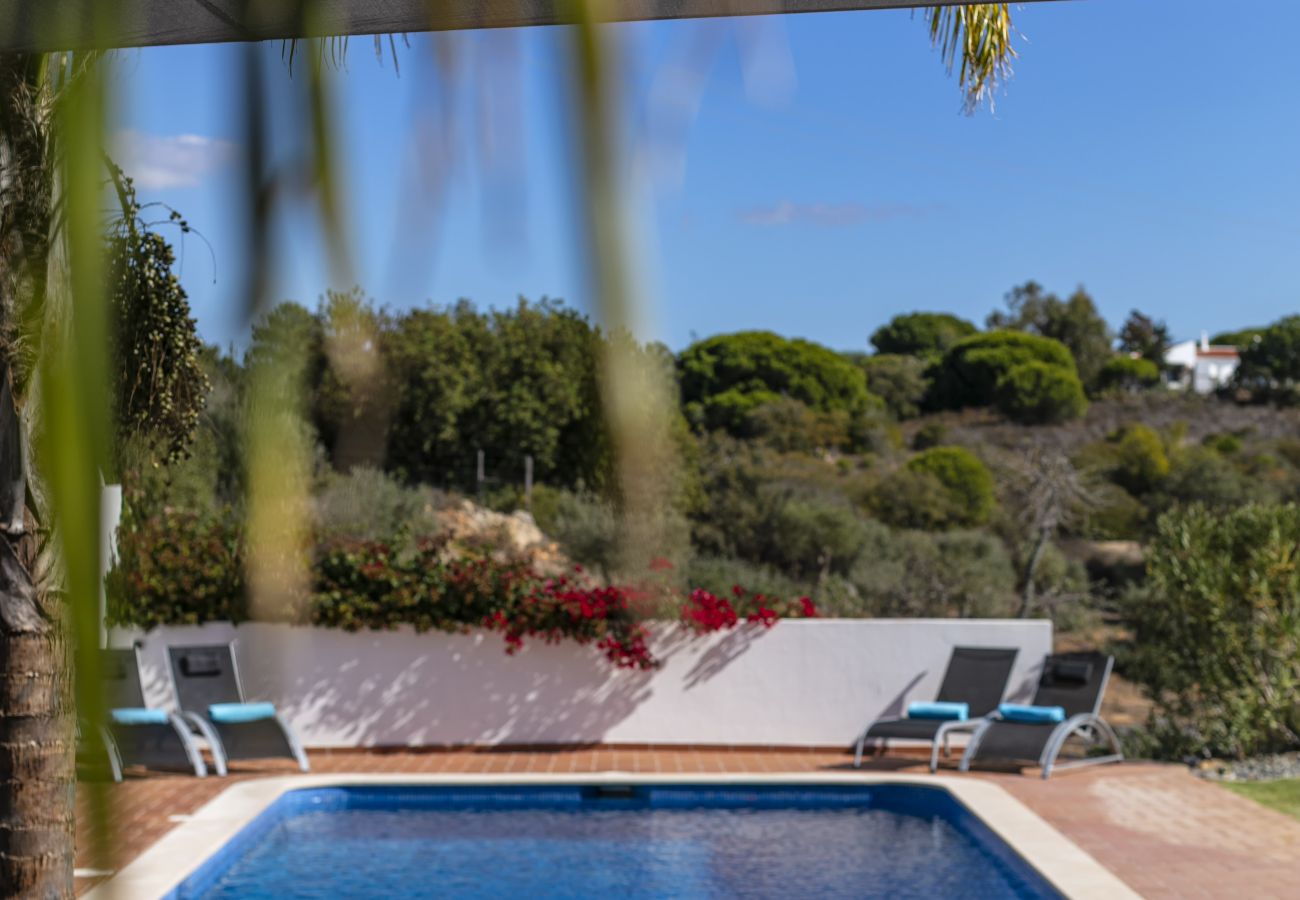 Villa in Carvoeiro - Casa Petra