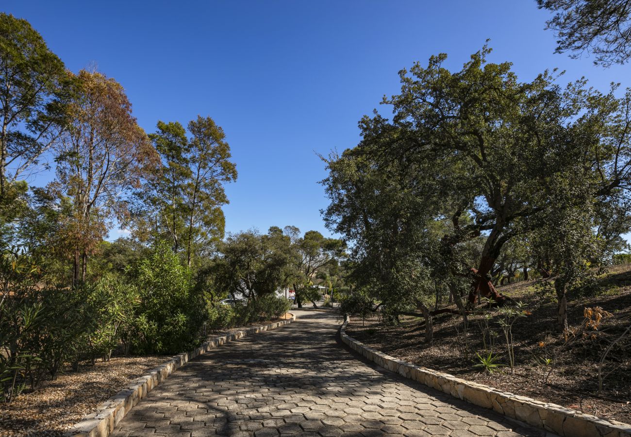 Villa in Carvoeiro - Casa Petra